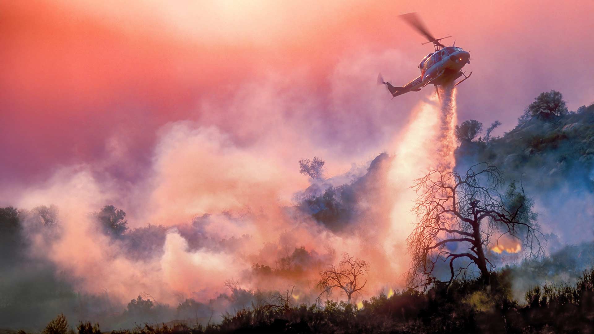 Helicopter putting out a wildfire